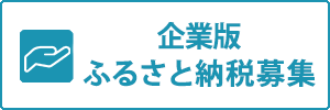 企業版ふるさと納税募集