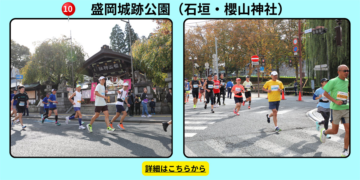 盛岡城跡公園（石垣・櫻山神社）