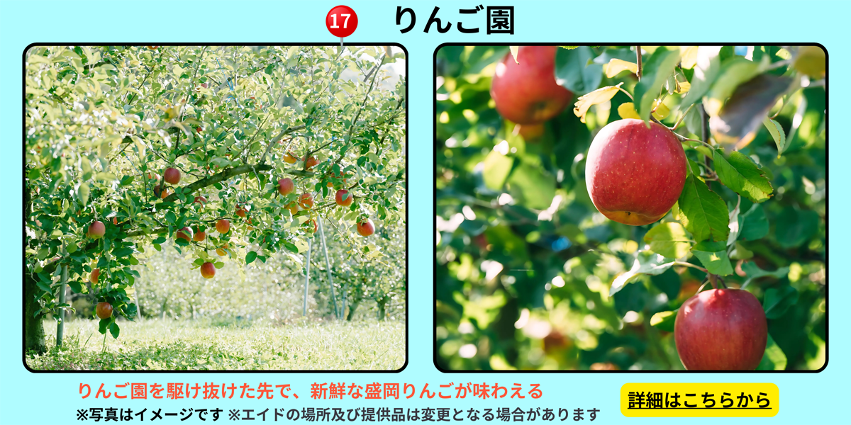 りんご園